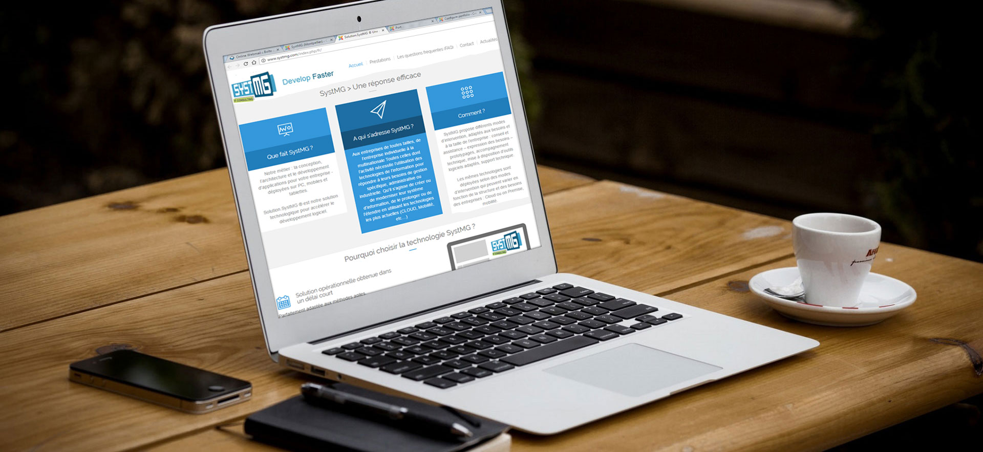 Site internet SystMG (Montpellier)