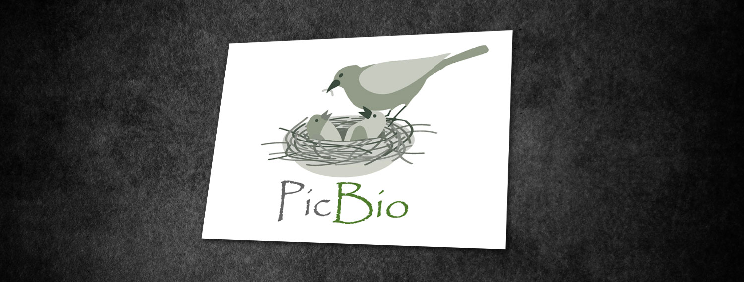 Logo Pic Bio (Lauret - Hérault)