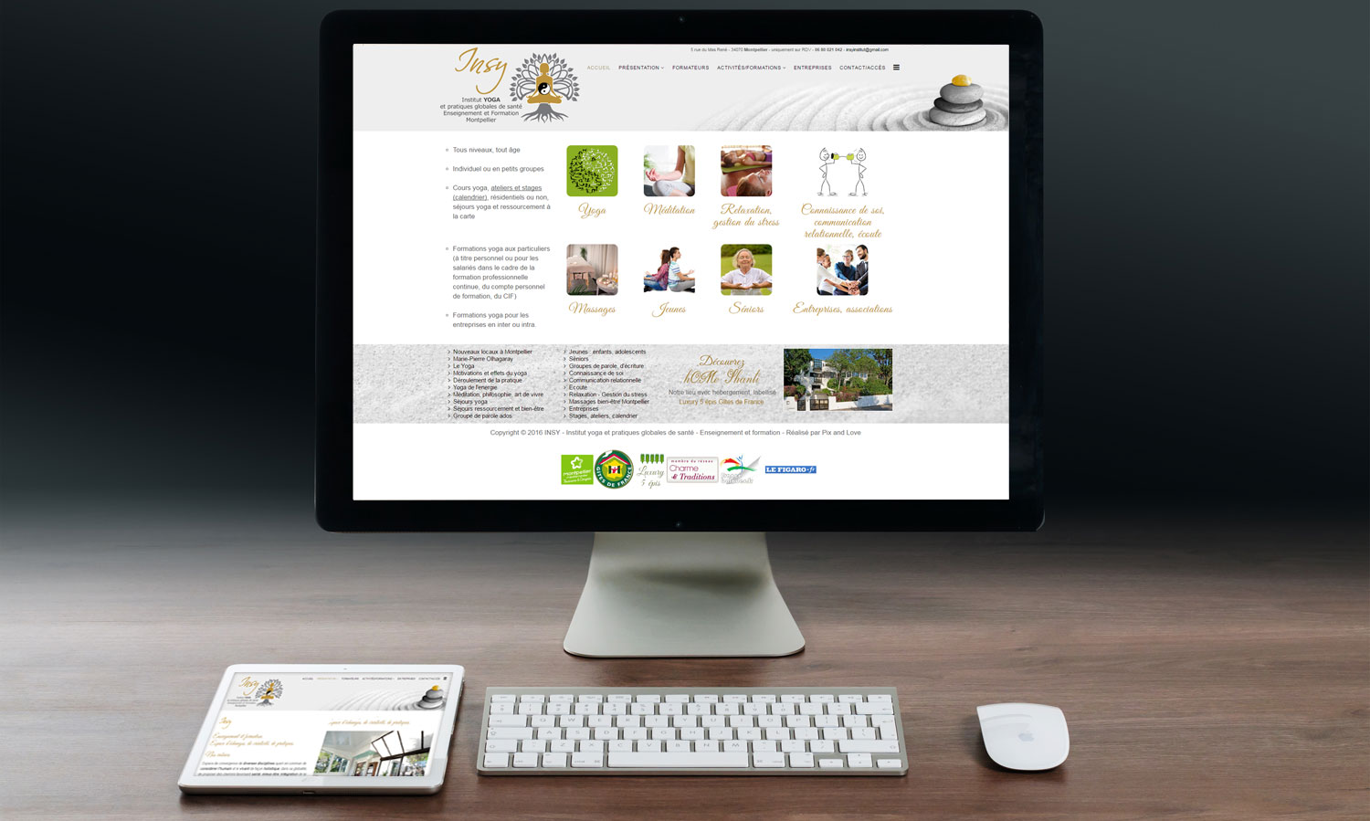 Site internet INSY (Montpellier)