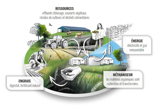 Illustration du process de la méthanisation