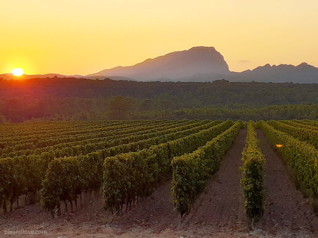 Pic Saint Loup H rault Pic Saint Loup H rault